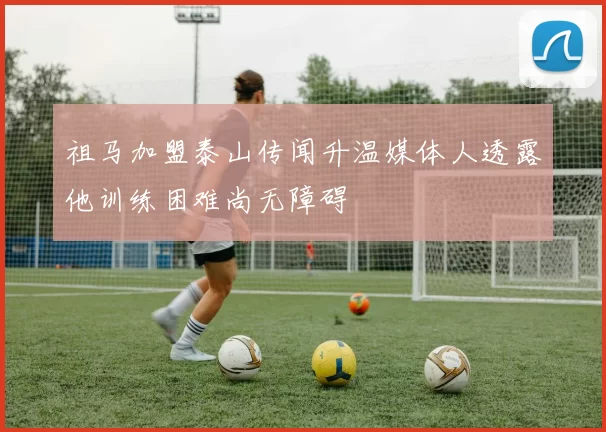 祖马加盟泰山传闻升温媒体人透露他训练困难尚无障碍